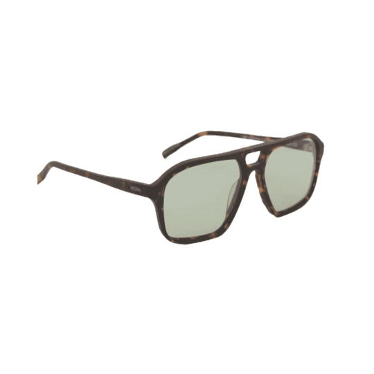 ANTEOJO DE SOL HARDEM BAKU COL. 05 PERFIL (1)