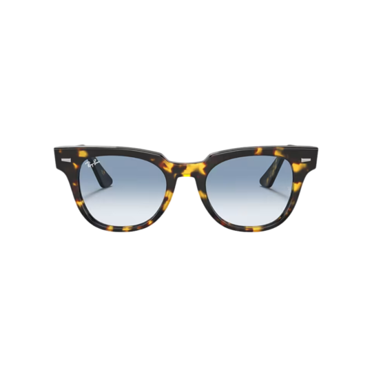RAY BAN Meteor carey