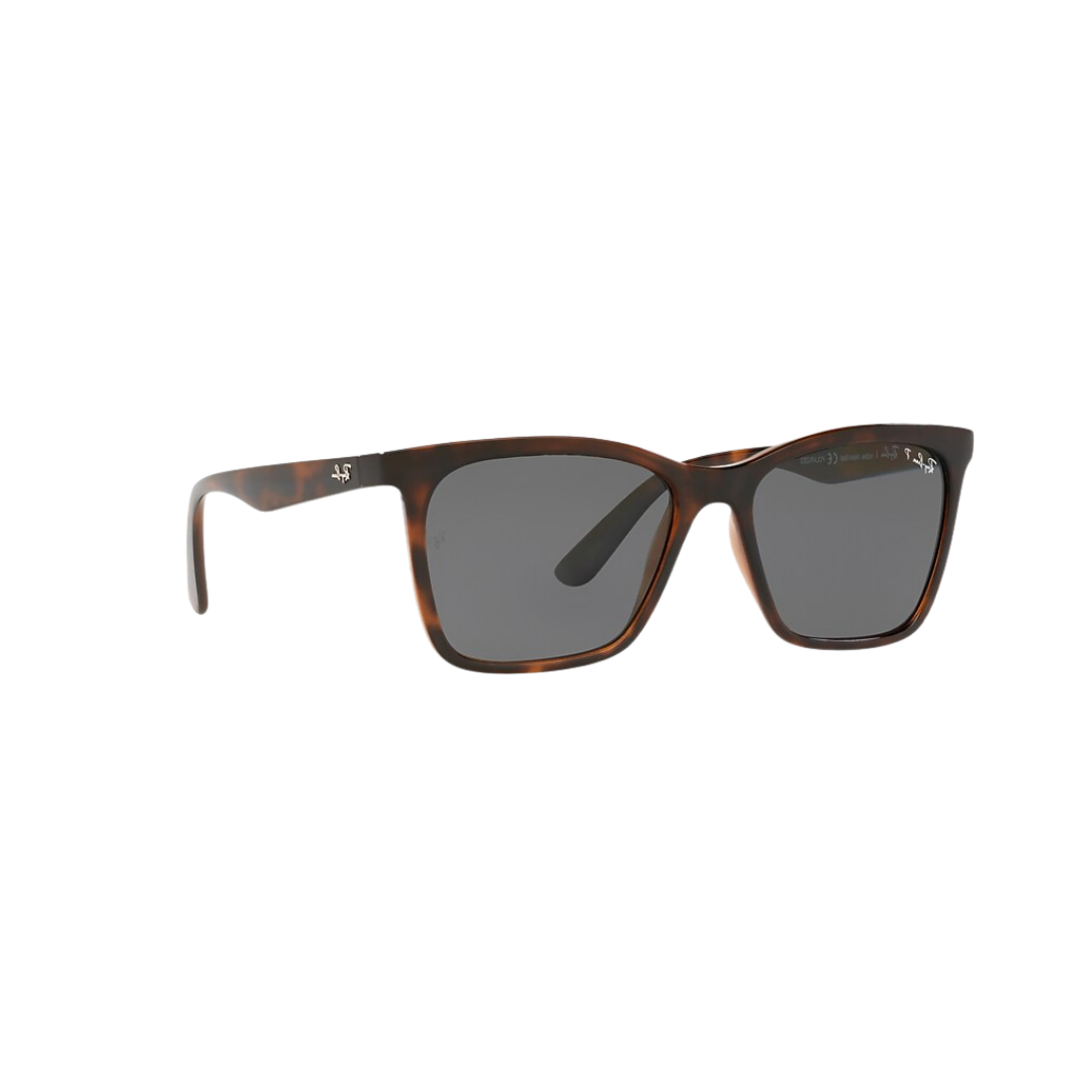 RAY BAN 0RB4372L 710/81 carey lente gris PERFIL RAY BAN 0RB4372L 710/81 carey