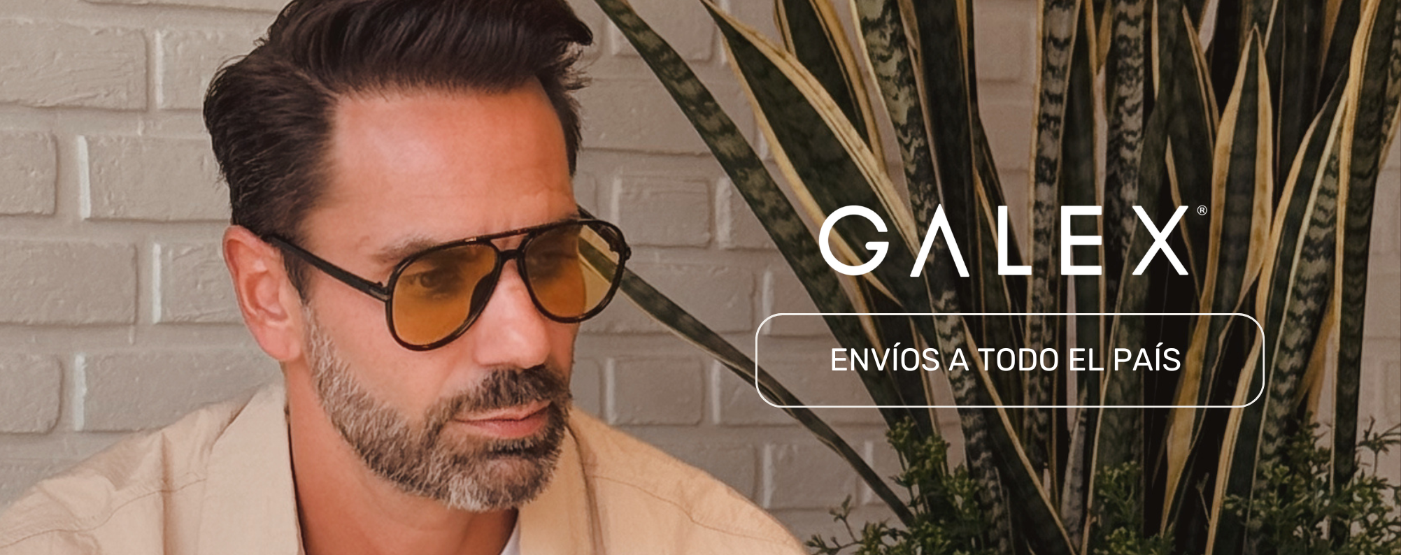 Inicio WEB 1 H