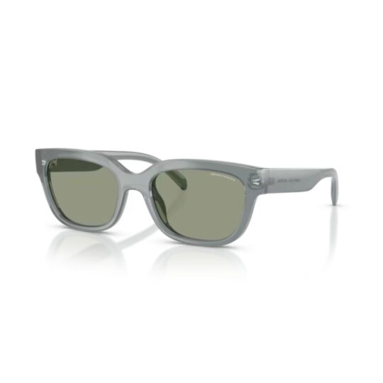 ARMANI EXCHANGE AX4155SU 83752 FRENTE. MODELO DE NYLON COLOR GRIS TRANSLUCIDO CON LENTES COLOR GRIS CLARO COMPACTO