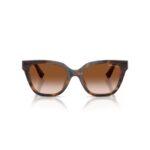 ARMANI EXCHANGE AX4164SU 821313 FRENTE. MODELO DE NYLON COLOR CAREY TERMINACION BRILLO CON LENTES SEPIA DEGRADÉ