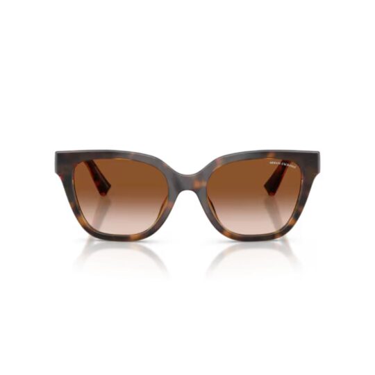 ARMANI EXCHANGE AX4164SU 821313 FRENTE. MODELO DE NYLON COLOR CAREY TERMINACION BRILLO CON LENTES SEPIA DEGRADÉ